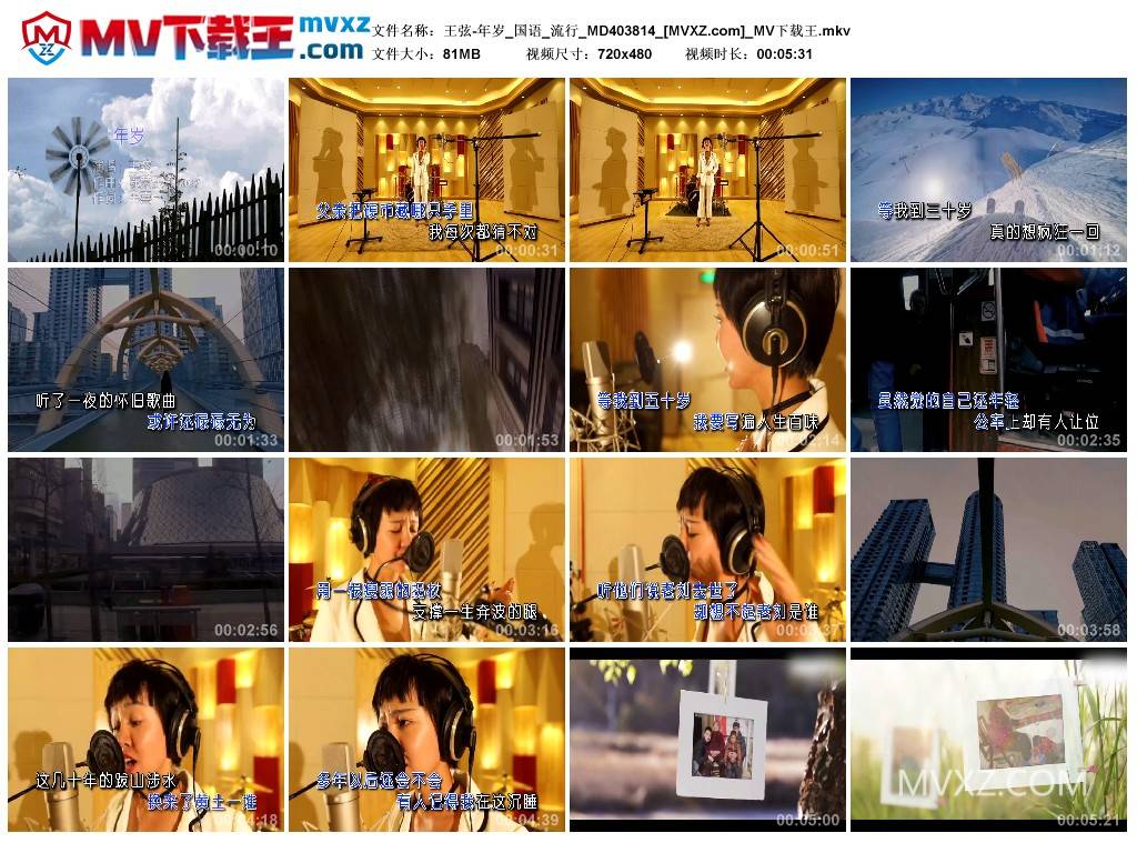 王弦-年岁_国语_流行_MD403814